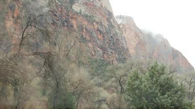 路旅行开车汽车锡安峡谷犹他州美国搭便车旅行美国秋天旅程红色的外星人陡峭的悬崖雨只树多雾的天气平静秋天大气视图车